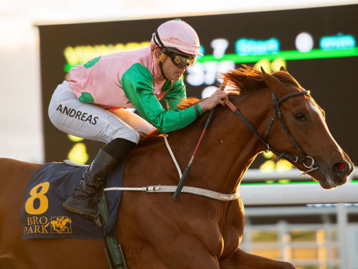 Tränarintervjuer 28/11 – söndagsgalopp på Bro Park