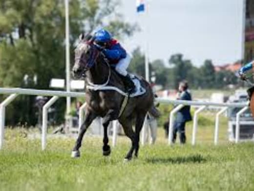 Toppinsats av Macallan i Gr-1 på Newbury Racecourse