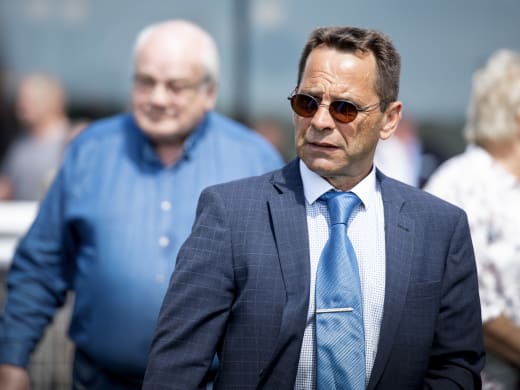 Neuf chevaux de l´equrie Patrick Wahl