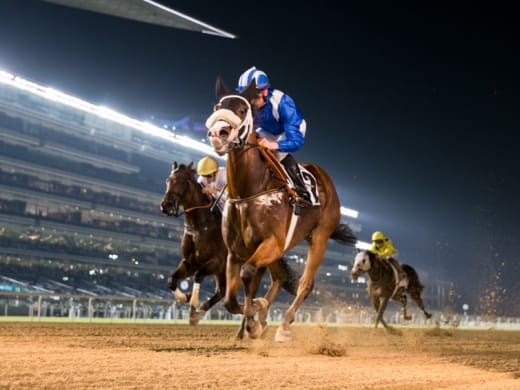 Doug Watson sopade rent på Meydan