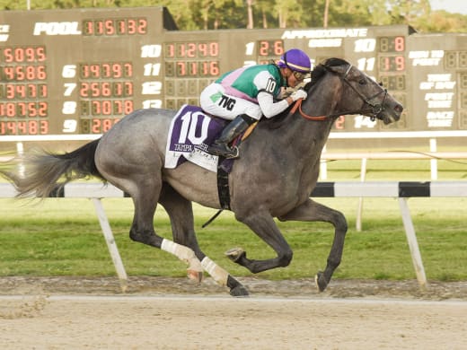 Kentucky Derby prepsen nästan klara