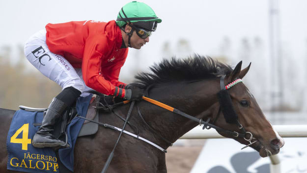 Kungen fortsätter imponera?