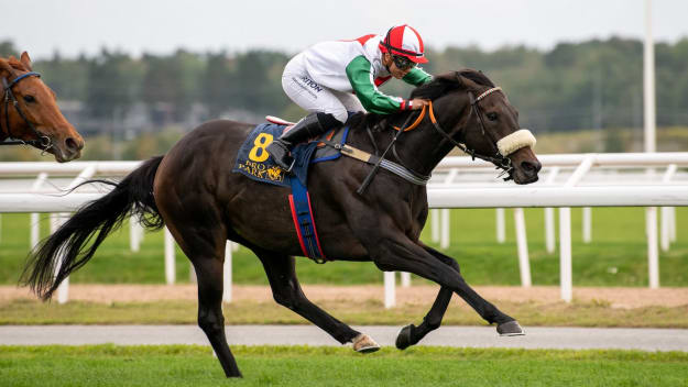 Tredje raka för Twomeys stjärna?