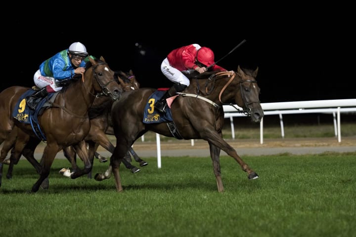 Delacroix_9171_28SkKz