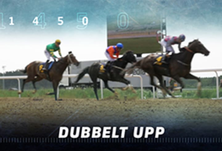 DubbelUpp_liten_Rs2x3t