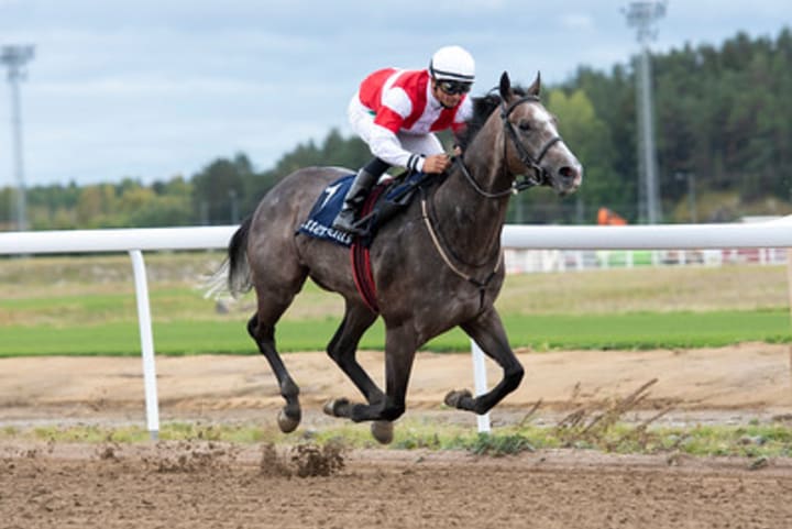 Duca_Di_Como_8837-S_02wUD1