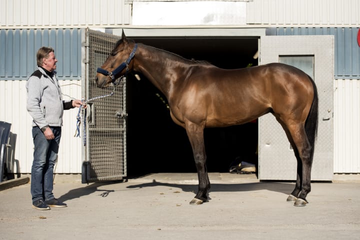 HansInge_HILLS_AND_DALES_3H8kwL