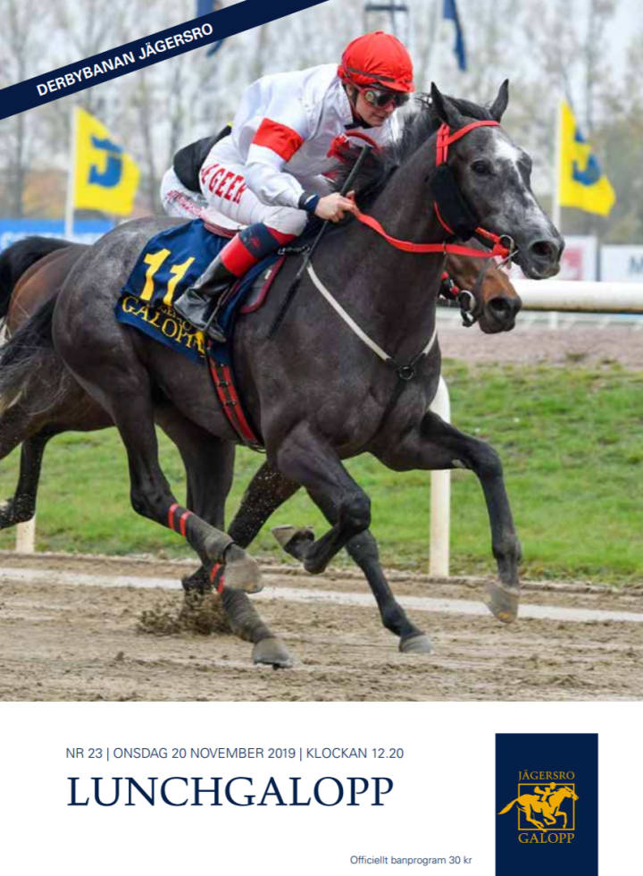 Jägersro_Galopp_191120_Oak2S4D.PN