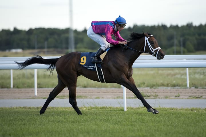 King_David_2190_bjQ6X6