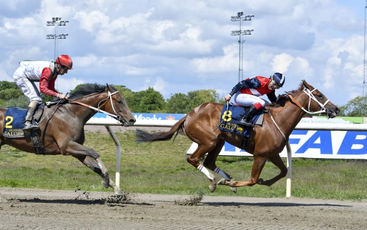 Marieappel_3496_Rfni7f