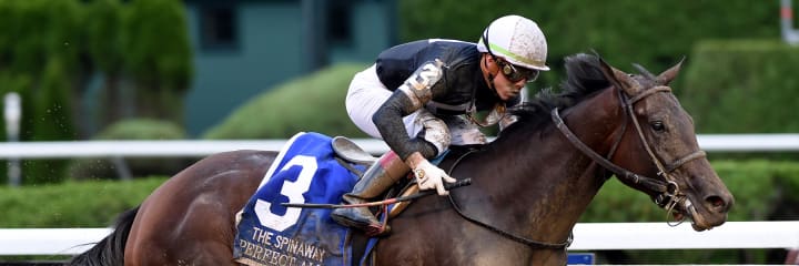 PerfectAlibi_19Spinawa