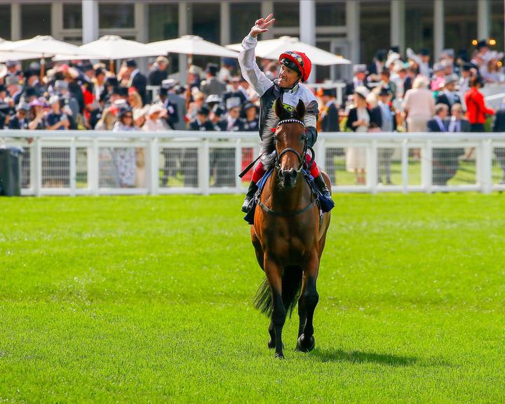 starcatchermarkcranha