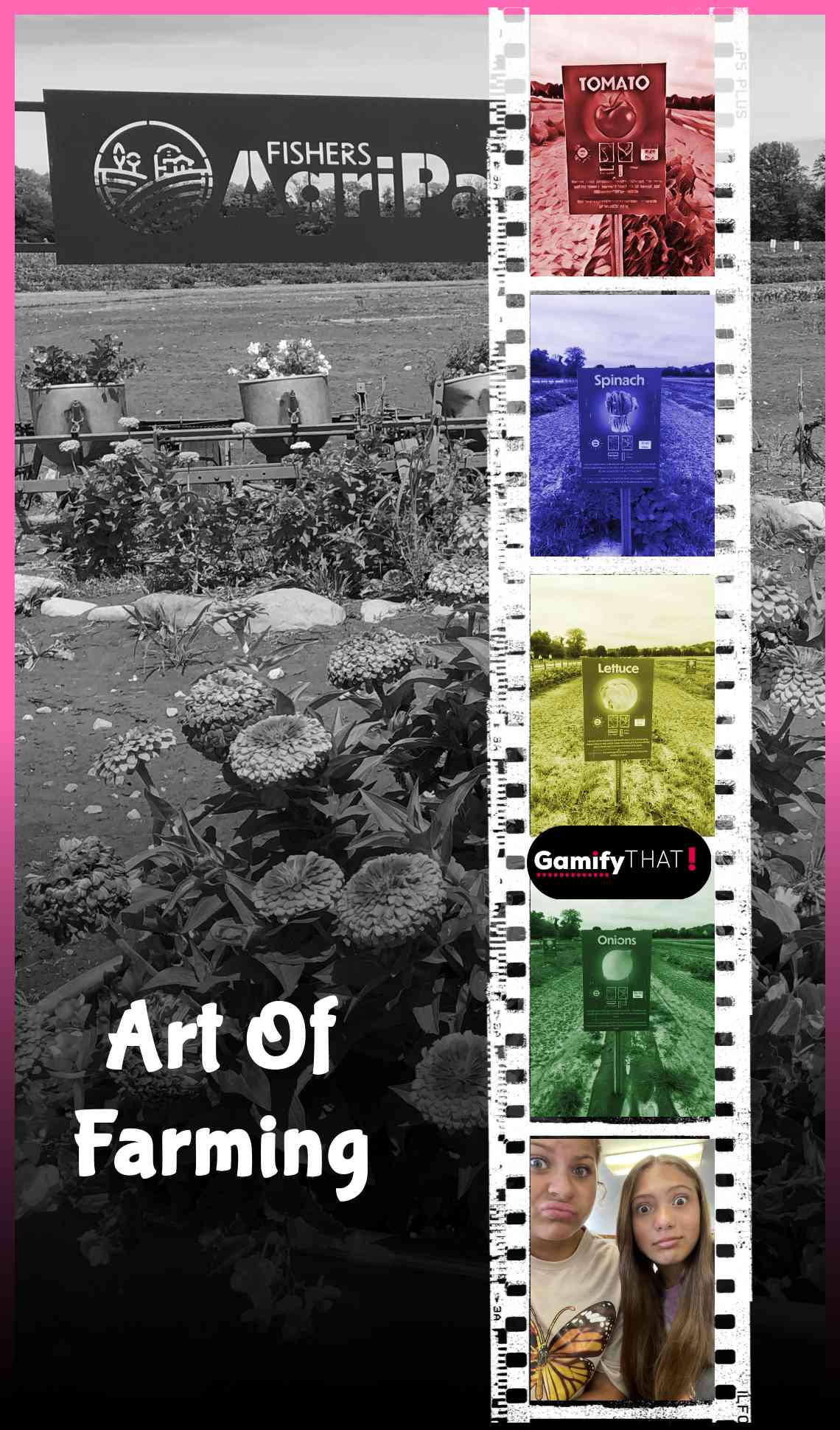 card-alt-img-text