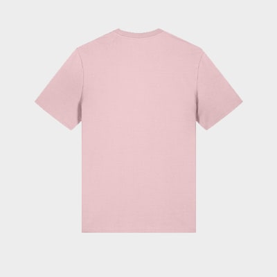 Stanley/Stella Collegiate Tee