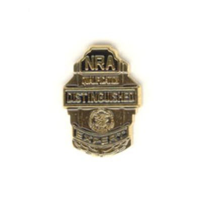 Distinguished Expert Pin