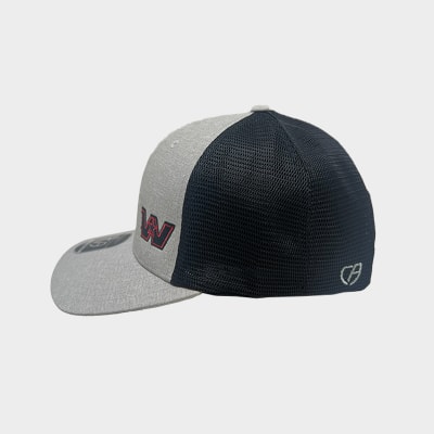 Flexfit 110 Cap