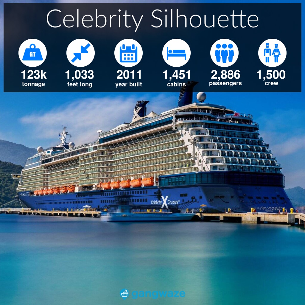 Celebrity Silhouette Infographic