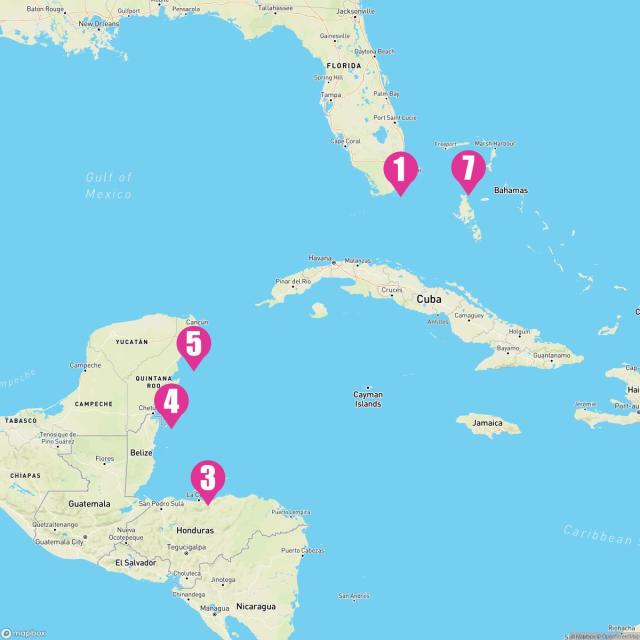 Icon of the Seas January 4th, 2025 Cruise Map & Port Info