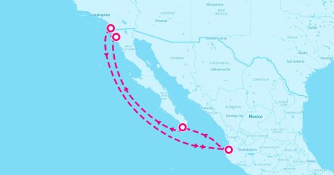 Puerto Vallarta Cruise Port - 7 Night Mexican Riviera (San Diego Roundtrip)