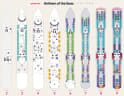Anthem of the Seas deck plans, all decks on one page
