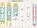 Enchantment of the Seas deck plans, all decks on one page