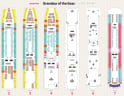 Grandeur of the Seas deck plans, all decks on one page