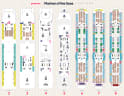 Mariner of the Seas deck plans, all decks on one page