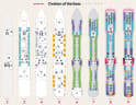 Ovation of the Seas deck plans, all decks on one page