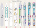 Quantum of the Seas deck plans, all decks on one page