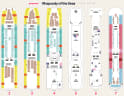 Rhapsody of the Seas deck plans, all decks on one page