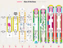 Star of the Seas deck plans, all decks on one page