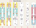 Vision of the Seas deck plans, all decks on one page