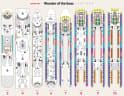 Wonder of the Seas deck plans, all decks on one page