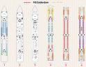 MS Zuiderdam deck plans, all decks on one page