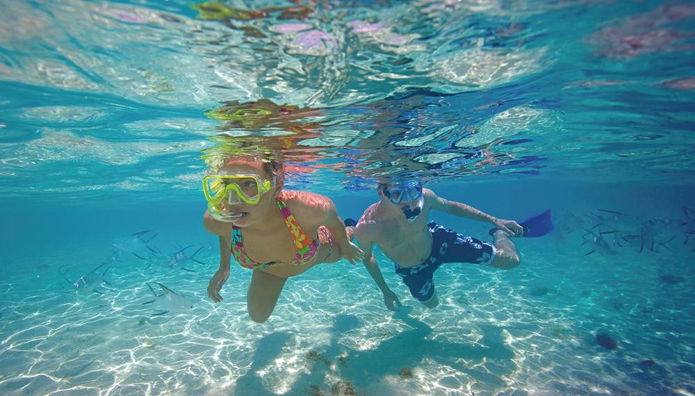 Allegro Resort Spo 01 Med