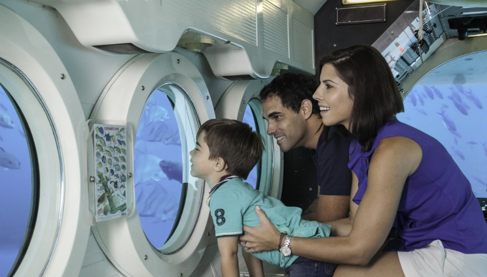 Atlantis Submarine Day Dive Pass 1