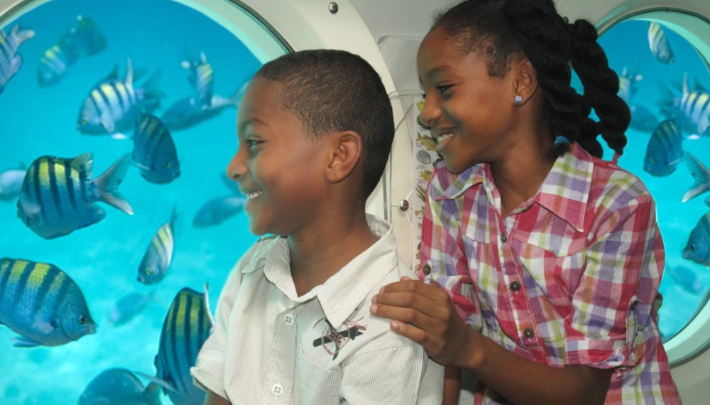 Atlantis Submarine Day Dive Pass 5