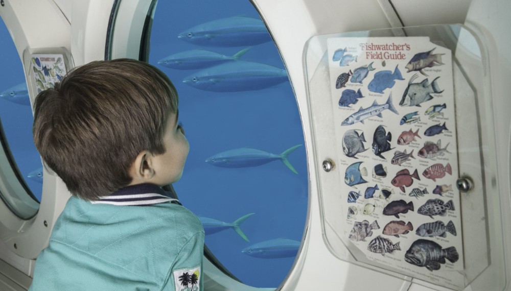 Atlantis Submarine Day Dive Pass 6