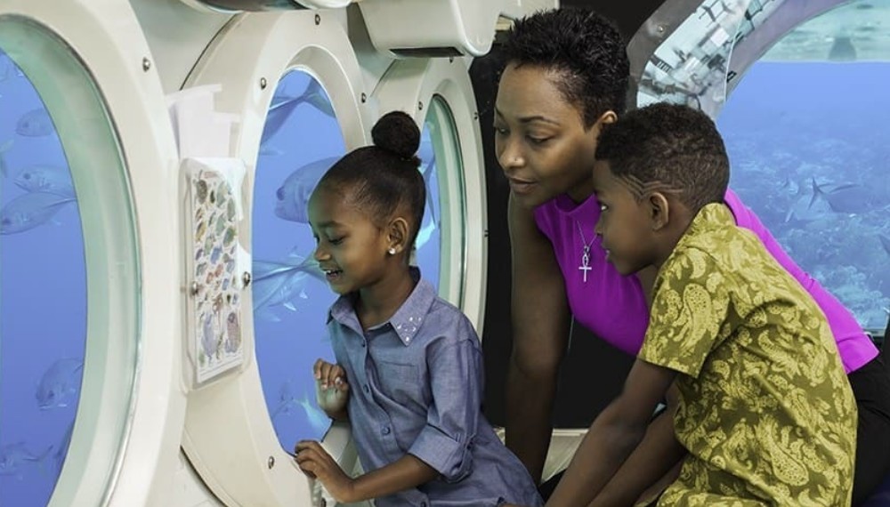 Atlantis Submarine Day Dive Pass 7