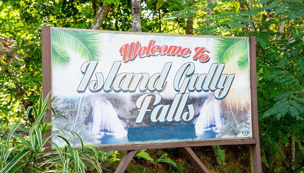Blue Hole And Dunns River Falls Tour Island Gully Falls 1