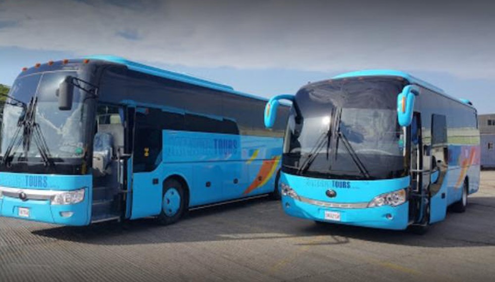 Blue Hole And Dunns River Falls Tour Roundtrip Transport Included