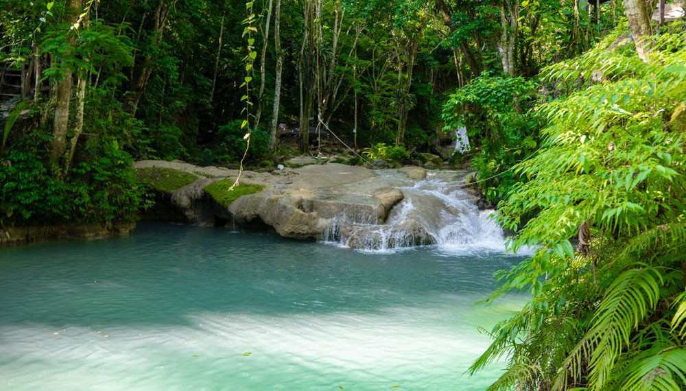 Blue Hole And Dunns River Falls Tour Water Falls 4