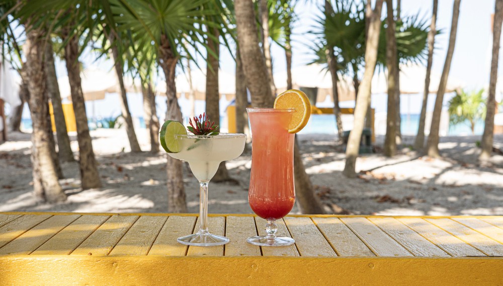 Kuza Park Deluxe Day Pass Zip Line Adventure 10