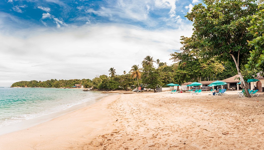 Mount Irvine Bay Resort Beach