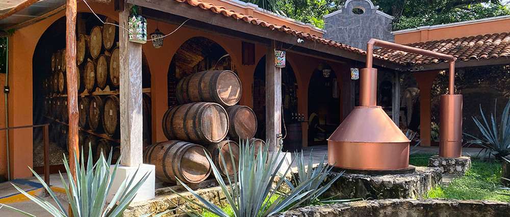 Rolling Cigar Tequila Experience With Transportation Mi Lindo Mexico