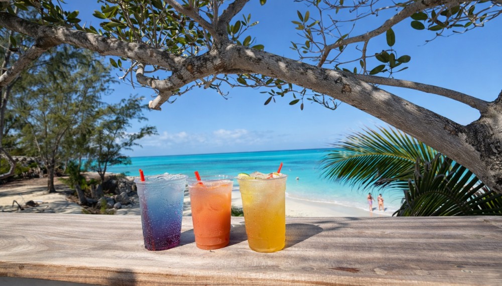 Sip Sea All Inclusive Island Escape 4