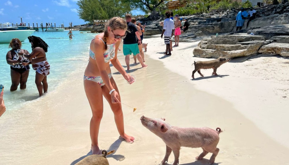 Swim With The Pigs In Nassau 11
