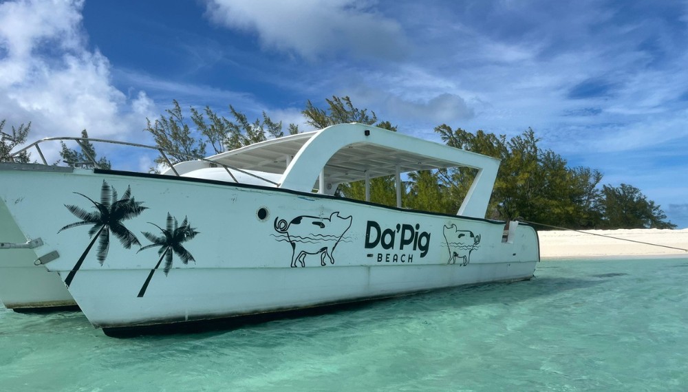 Swim With The Pigs In Nassau 8