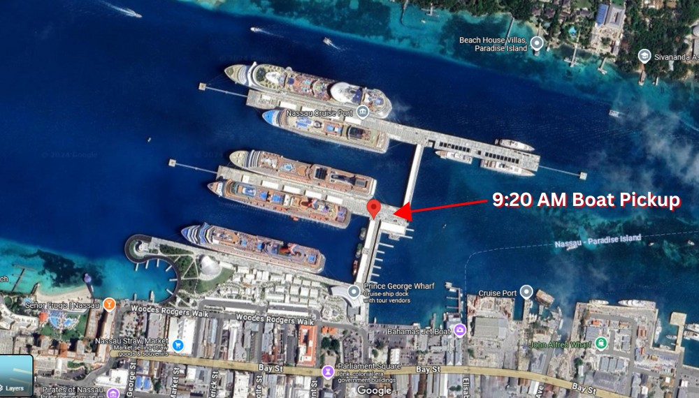 Swim With The Pigs In Nassau Da Pig Beach 10