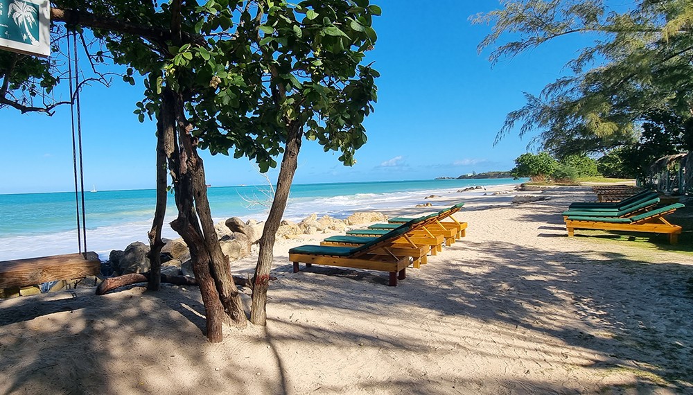 Treehouse Beach Club Beach 3